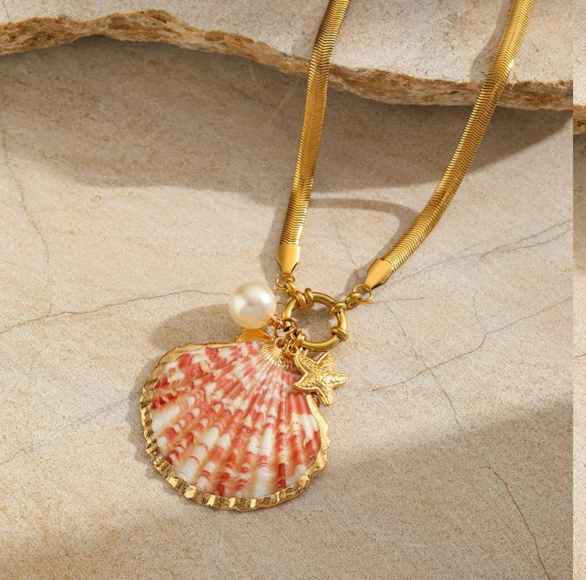 Colliers sea en acier inoxydable