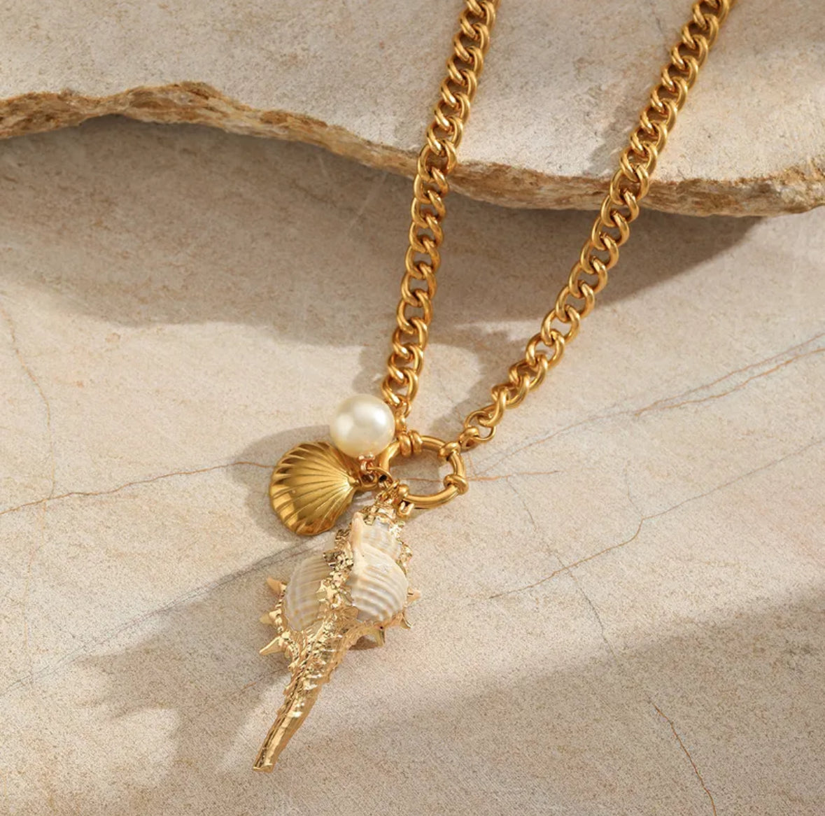 Colliers sea en acier inoxydable