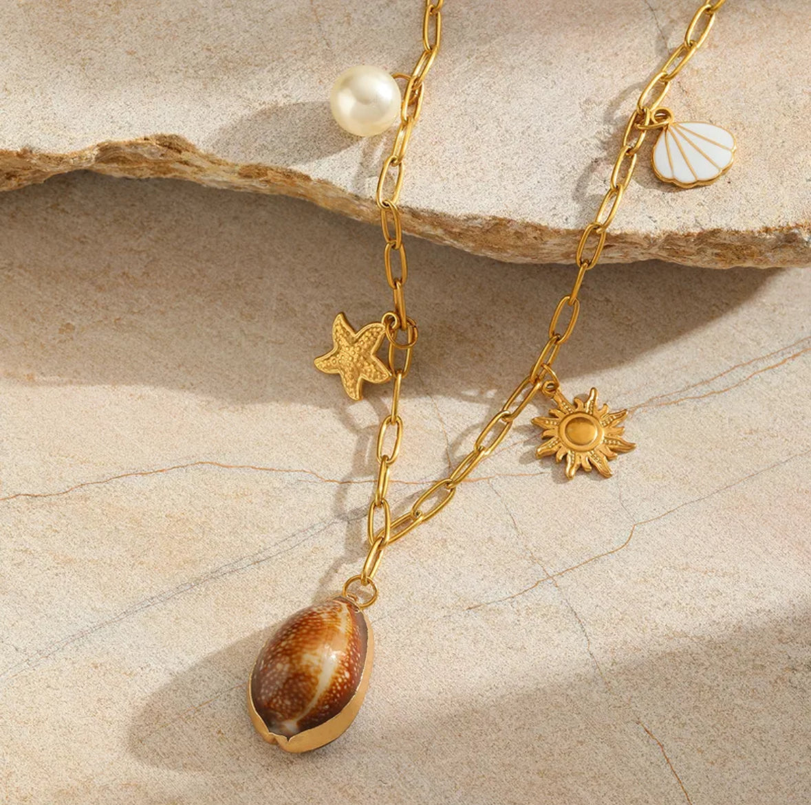 Colliers sea en acier inoxydable