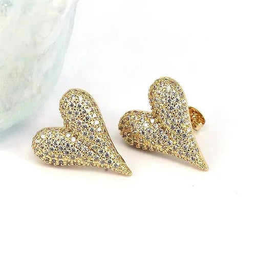 Boucles en acier inoxydable