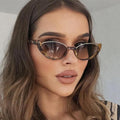 Lunettes solaires