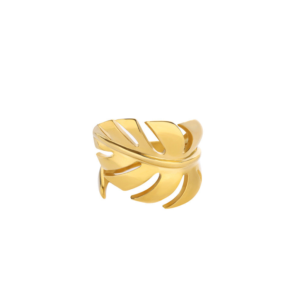 Bague en acier inoxydable