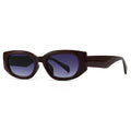 Lunettes 703